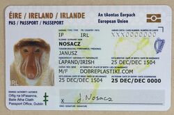 Identity Card - Irleand