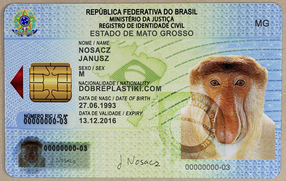 Identity Card - Brasil
