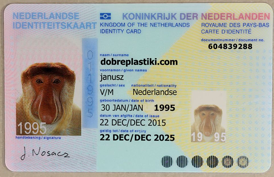 Identity Card - Netherlands