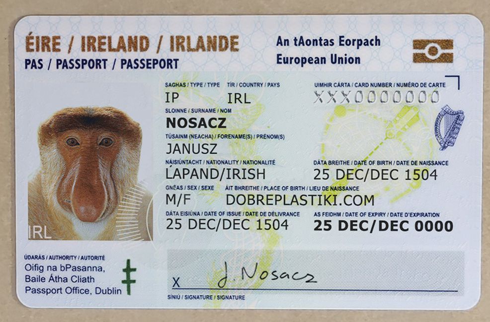 Identity Card - Irleand