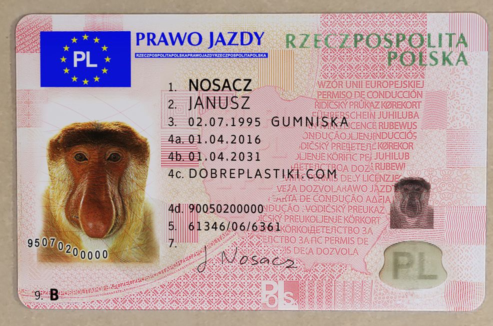 Driver License - Poland