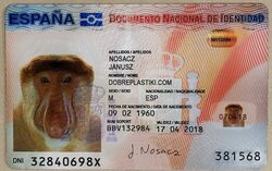 Identity Card - Spain