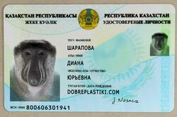 Identity Card - Kazakhstan