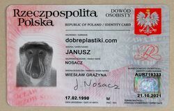 Identity Card - Poland (2013)