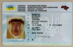 Driver License - Ukraine
