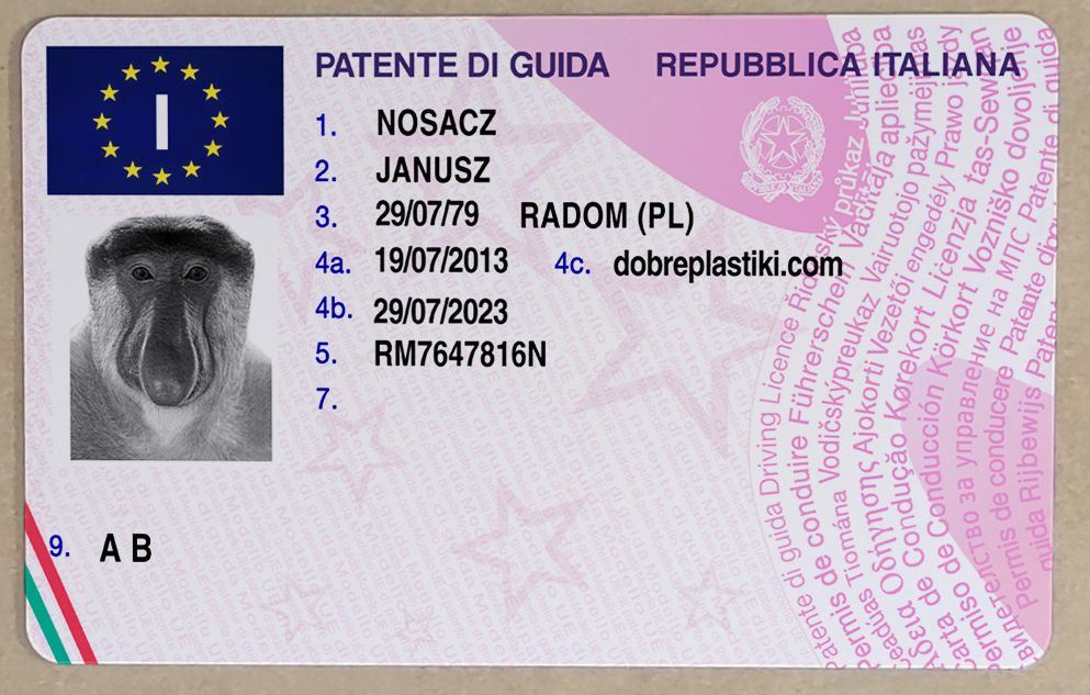Driver License - Italy